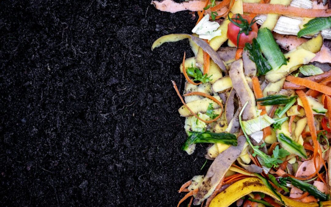 Compost Food Scraps